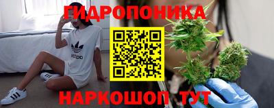 прущие грибы Кингисепп