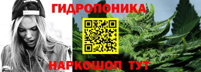 прущие грибы Кингисепп