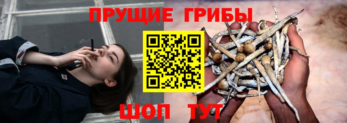 Псилоцибиновые грибы MAGIC MUSHROOMS  Галлюциногенные грибы прущие грибы  Вход с VPN  Камышлов 